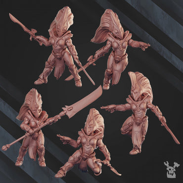 Comet Screamers Squad (build-kit)