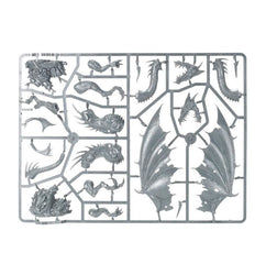 Cities of Sigmar: Sorceress on Black Dragon