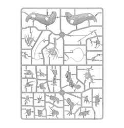 Cities of Sigmar: Kharibdyss