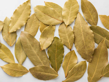 Bay Leaves – Ritual Herb for Spells, Manifestation & Protection