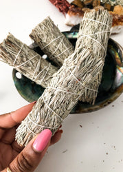 Blue Sage - 4" Sustainably Harvested
