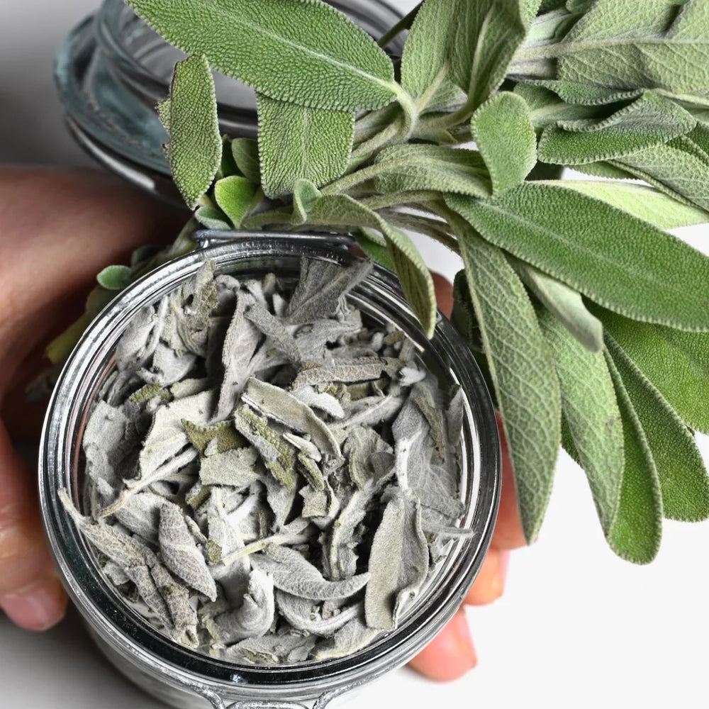 Spices & Herbs – For Ritual and Spell Work