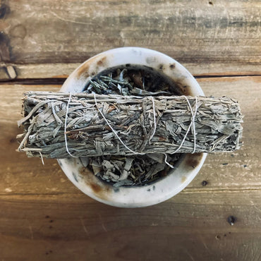 Blue Sage - 4" Sustainably Harvested