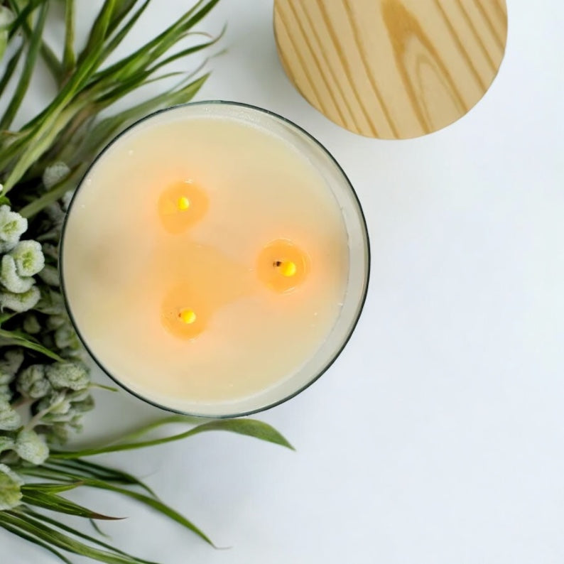 Citronella Candle – 16 oz 3-Wick Outdoor Mosquito Repellent with Essential Oils