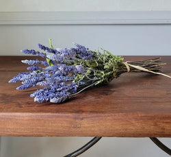 Blue Sage - 4" Sustainably Harvested