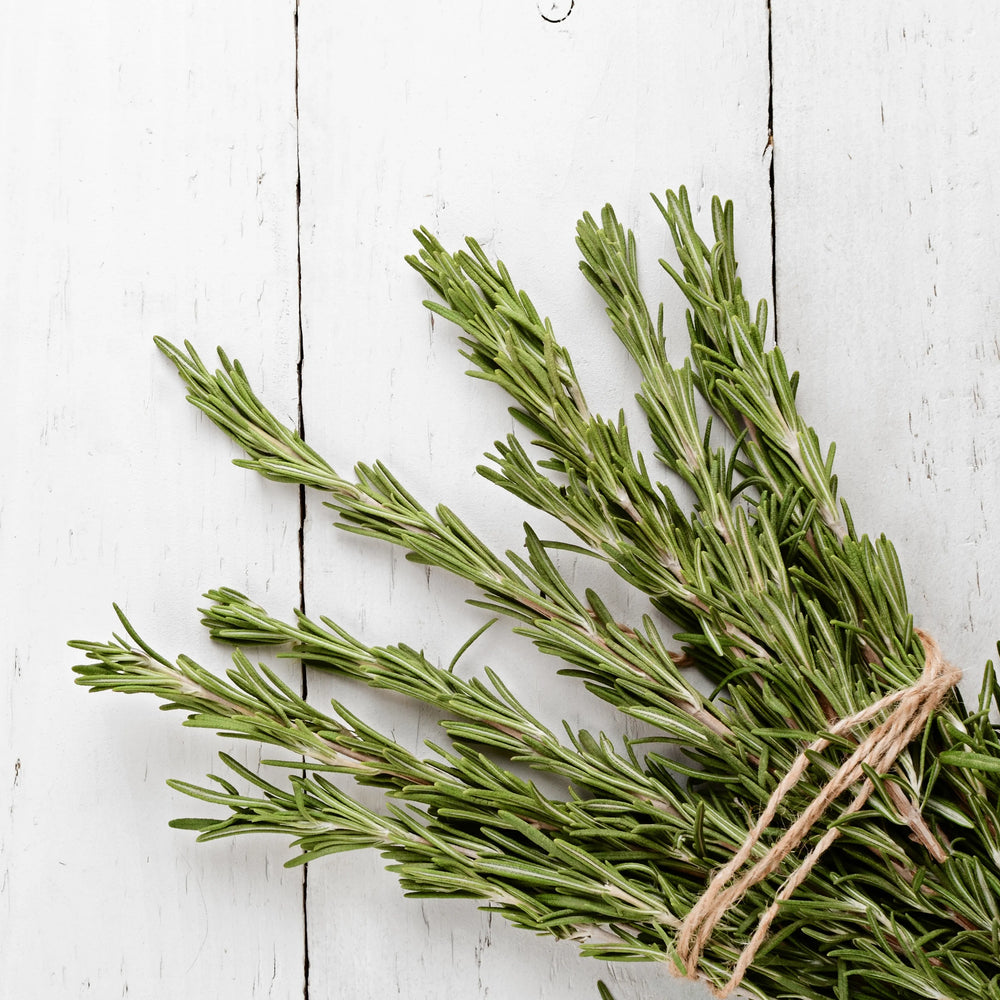 Spices & Herbs – For Ritual and Spell Work